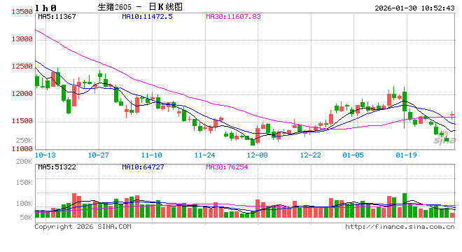 高瞻远“猪”：一致性预期存在 2026年上半年仔猪价格或涨