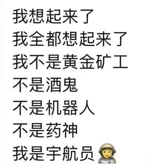 马年马斯克，诚不欺我