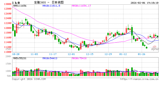 长安期货刘琳:生猪现货主导 价格依旧承压