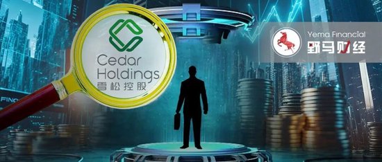 “广州前首富”被判无期！“雪松系”200亿集资窟窿何偿？