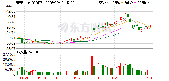 安宁股份：未发生逾期担保