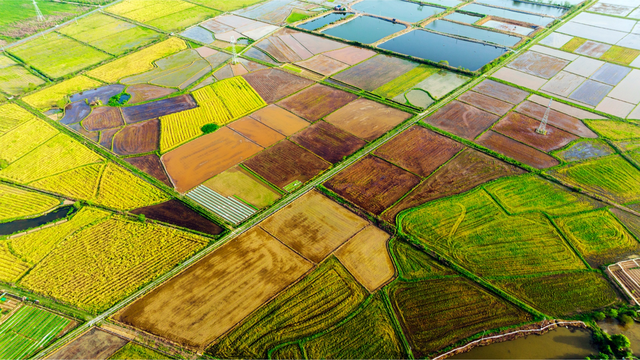 “新春第一会”,江西为何聚焦“三农”