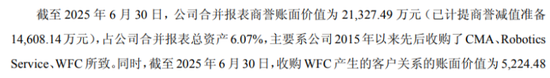 “失血”未止仍激进收购,资金捉襟见肘,埃夫特押注IPO折戟企业胜算几何