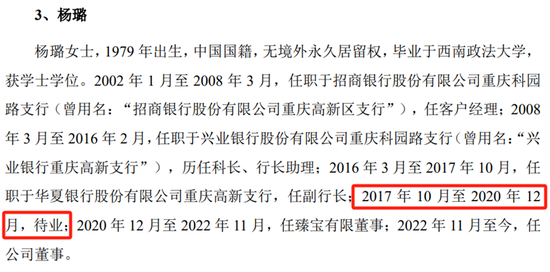 臻宝科技IPO，低价拿到大笔股权的神秘女董事，背后是什么来头？