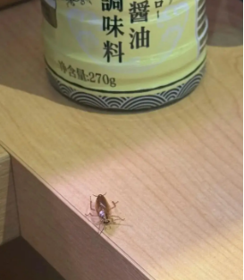 寿司郎吃出寄生虫卵？刚开业1个月就被立案，预约却爆满，菜品仍在售