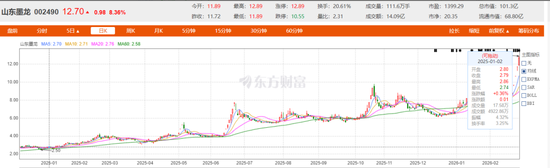 油轮放行了？“油气妖股”山东墨龙狂飙460%