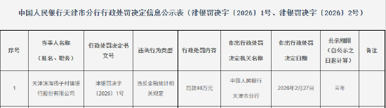 天津滨海扬子村镇银行被罚40万元：违反金融统计相关规定