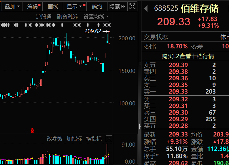 存储芯片龙头,获近12亿资金抢筹!