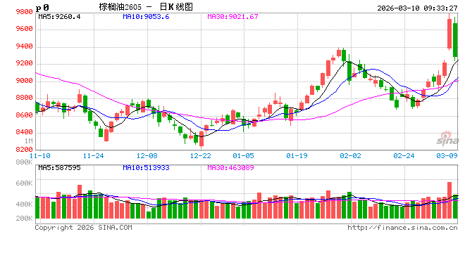 价格显著上涨、成交量爆发式增长，油脂为何被“点燃”？