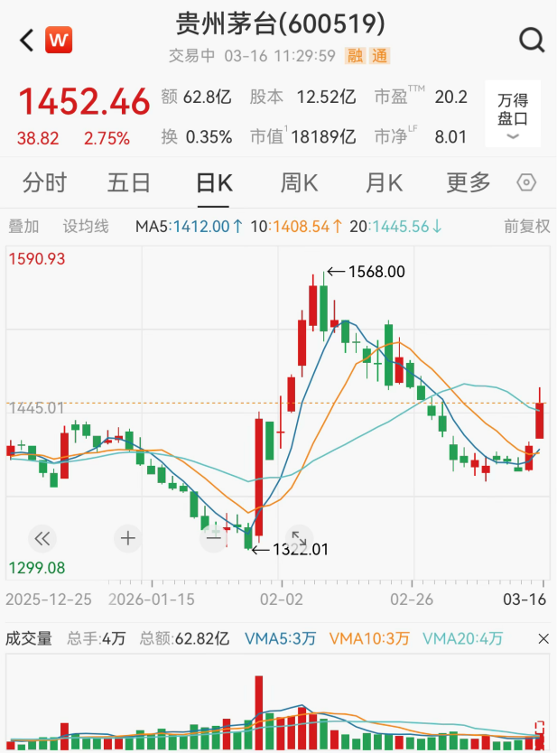 “老登股”,逆势大涨!