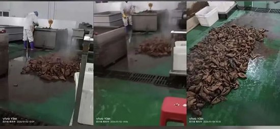 “鹿哈”或需赔偿26.9亿元,曾自曝7个月赚了3500万