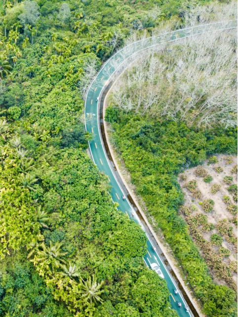 跟着余华、苏童、李光洁去骑行！《一个文学的午后》走进三亚大茅远洋生态村