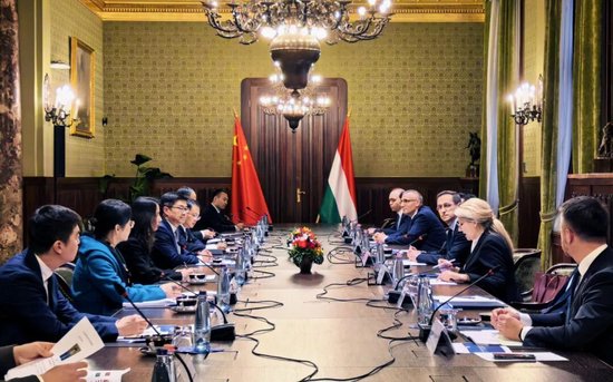 中国进出口银行董事长陈怀宇在匈牙利开展工作调研