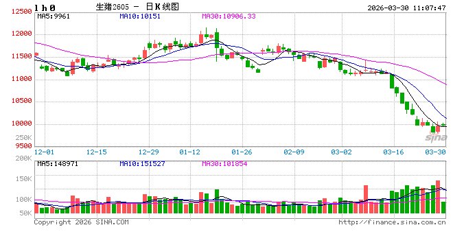 华泰期货：产能未去、消费未起 生猪市场步入磨底格局
