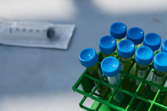 埃克森科学家曾对藻类生物燃料存疑 但这家石油巨头仍大肆宣传