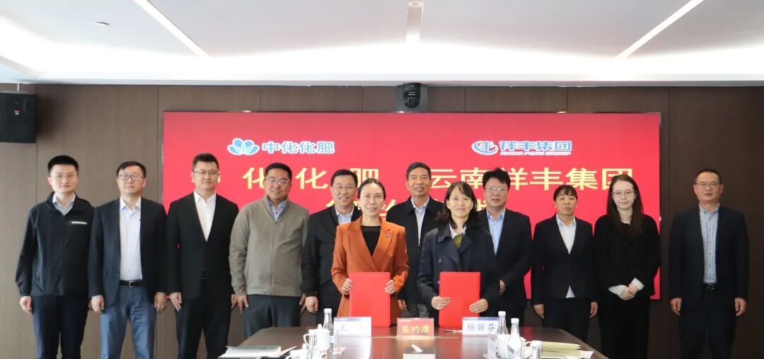 强强联合，携手保供！中化化肥与祥丰集团达成全方位战略合作