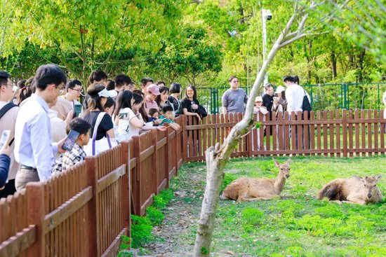上海交通大学校友代表陈光明：校训精神已深入骨髓