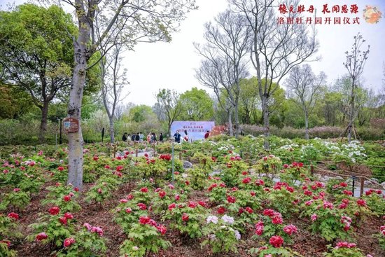 上海交通大学校友代表陈光明：校训精神已深入骨髓