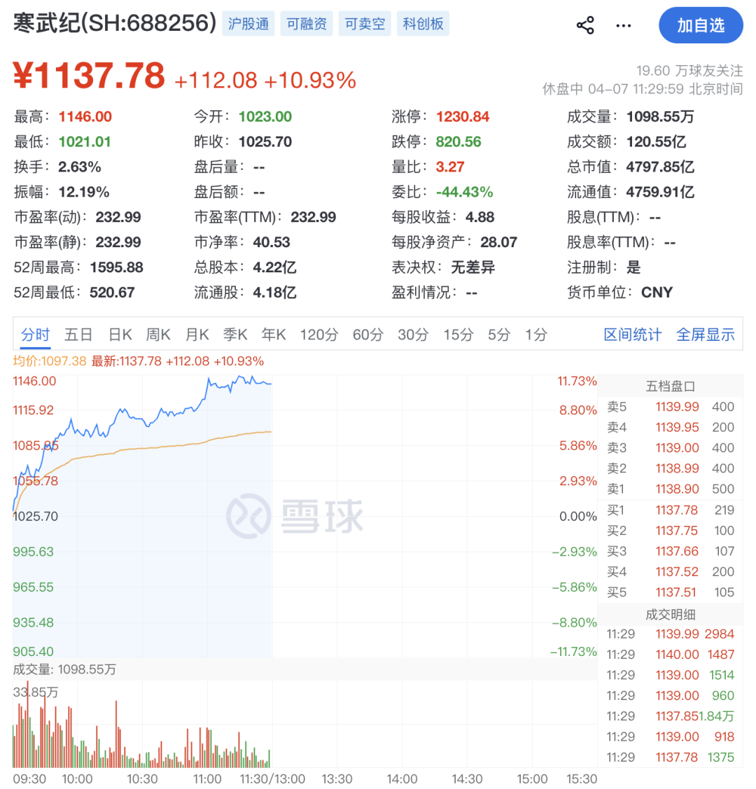大爆发!688256,飙涨