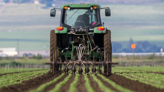 从战争到气候:“超级厄尔尼诺”事件或将给全球粮食成本带来新风险