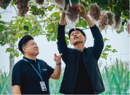 政策加码部署支持县域经济，分期乐普惠为超400万县域小微注入“金融活水”