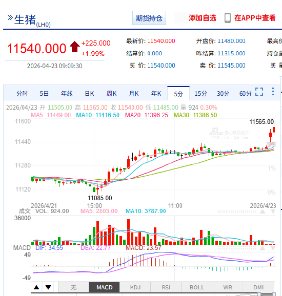 快讯：生猪主力合约延续走高，日内涨超2.00%，现报11545.00元/吨