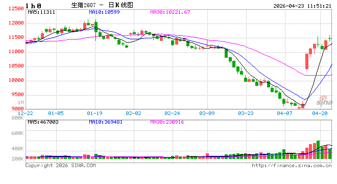华泰期货：供应偏高背景延续，生猪市场情绪呈现好转