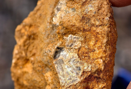 “爸爸，这座山下有黄金……”8岁男孩凭草辨矿？