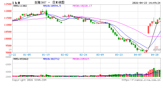 农业农村部：生猪供求关系逐步改善 价格企稳
