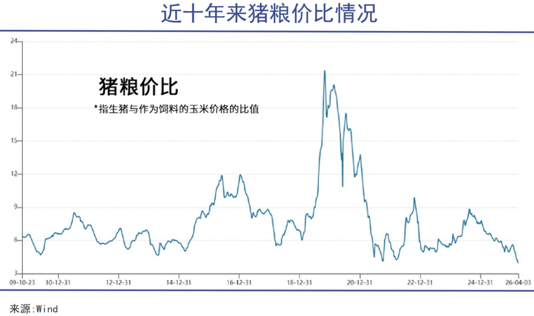 嗜血猪周期,前所未有