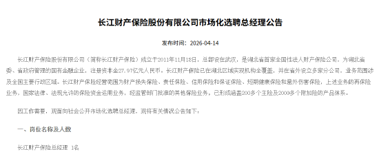 长江财险市场化选聘总经理