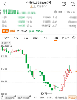 国泰君安期货：借来的翅膀，能让猪价飞多久？