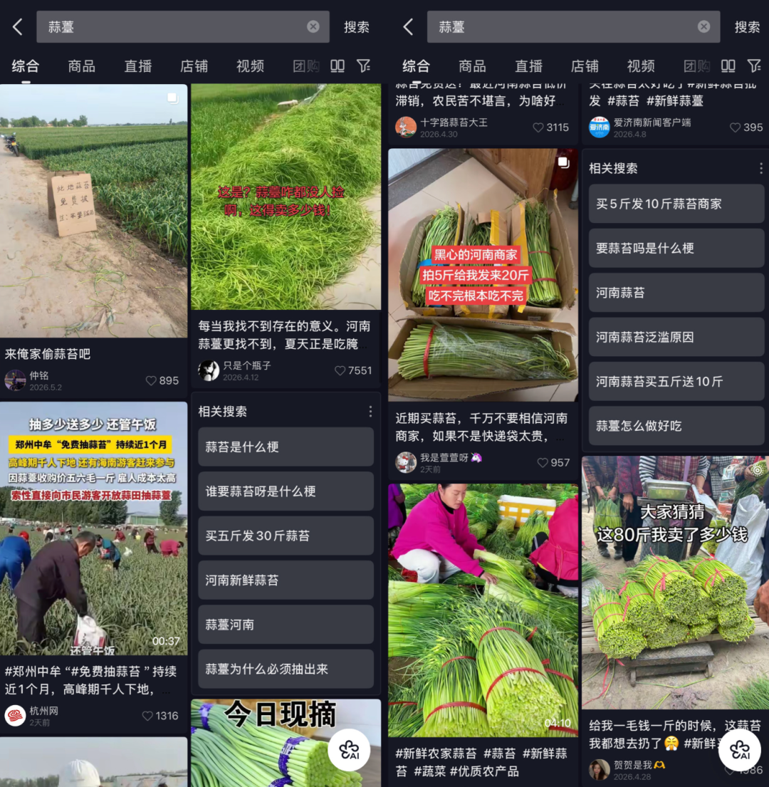 河南蒜薹“堆积如山”背后的真相：收购价低至2毛一斤，“买五斤送十斤”系段子