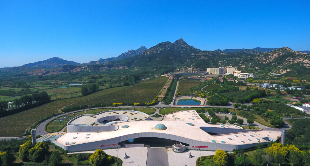国台酒业与京东达成深度战略合作，共启新篇章