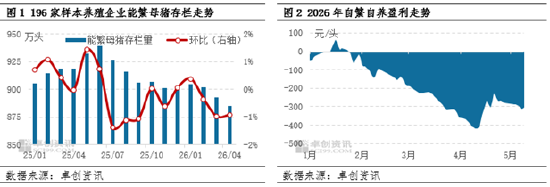 高瞻远“猪”:盈利亏损业者加快出栏 4月能繁与生猪存栏下滑